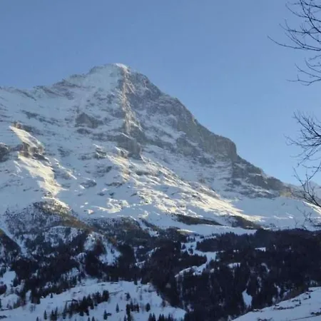Wychelrain By Interhome Grindelwald