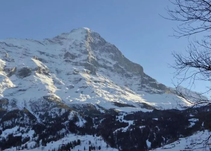 Wychelrain By Interhome Grindelwald